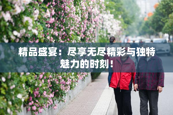 精品盛宴：尽享无尽精彩与独特魅力的时刻！