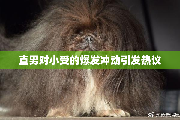 直男对小受的爆发冲动引发热议