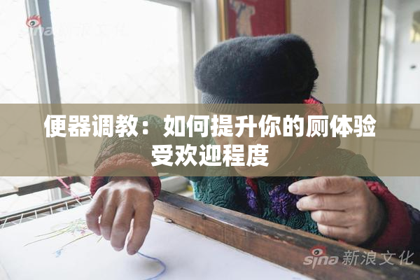 便器调教：如何提升你的厕体验受欢迎程度