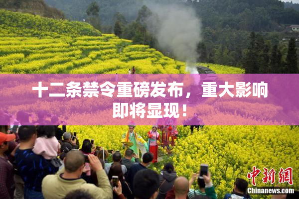 十二条禁令重磅发布，重大影响即将显现！