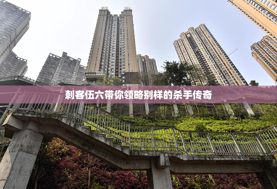 刺客伍六带你领略别样的杀手传奇