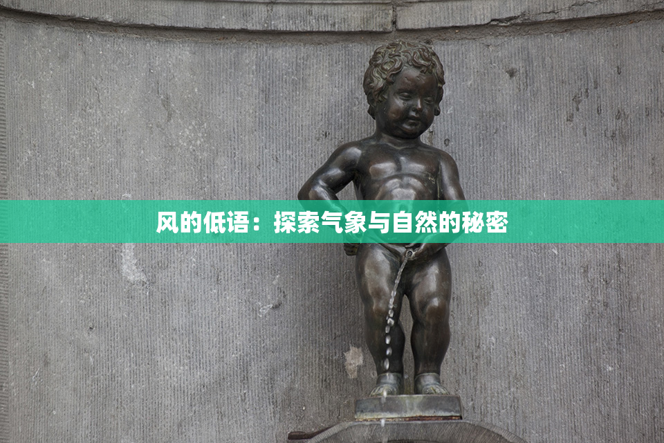 风的低语：探索气象与自然的秘密