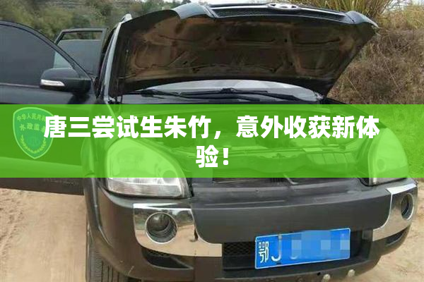 唐三尝试生朱竹，意外收获新体验！