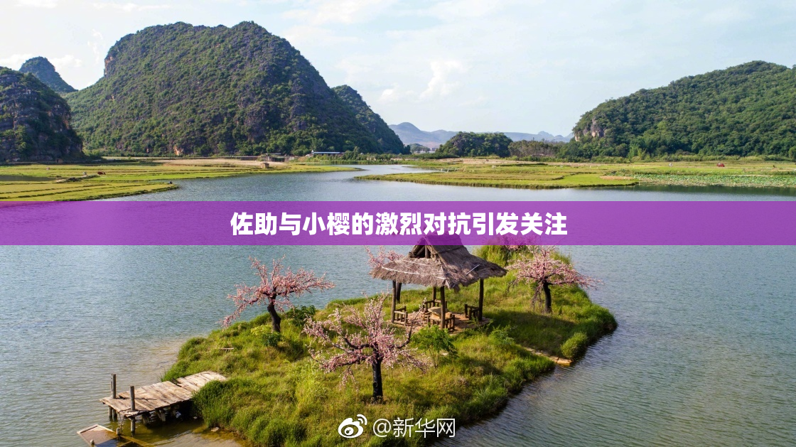 佐助与小樱的激烈对抗引发关注