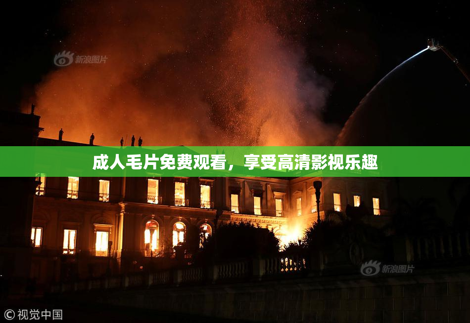 成人毛片免费观看，享受高清影视乐趣