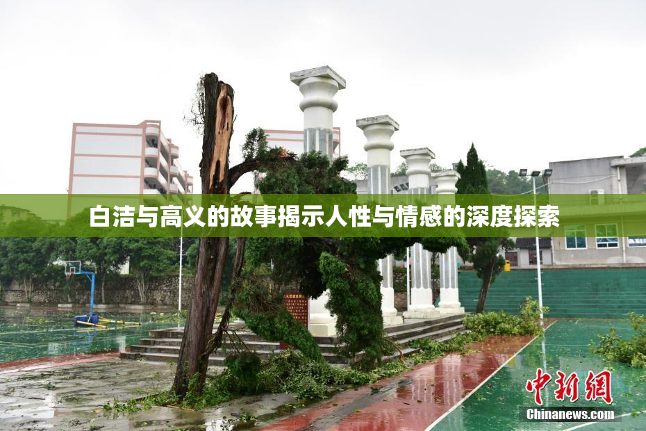 白洁与高义的故事揭示人性与情感的深度探索