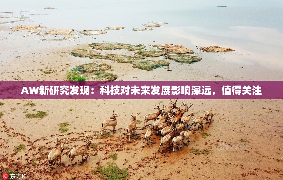AW新研究发现：科技对未来发展影响深远，值得关注