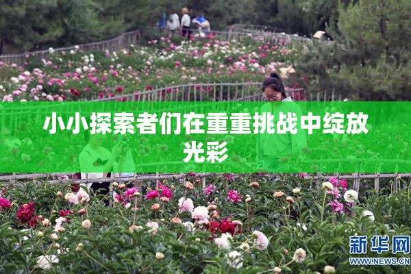 小小探索者们在重重挑战中绽放光彩