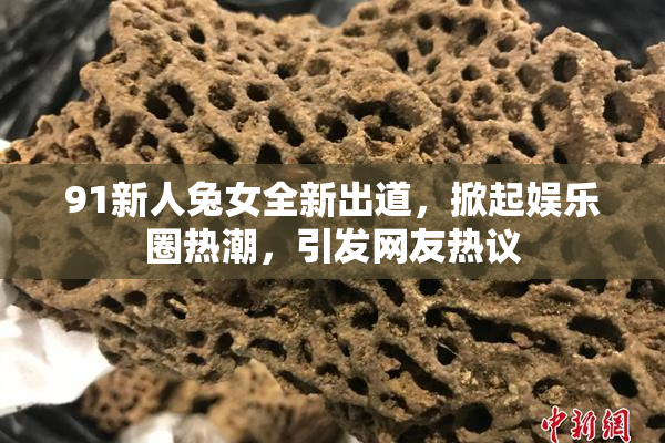 91新人兔女全新出道，掀起娱乐圈热潮，引发网友热议
