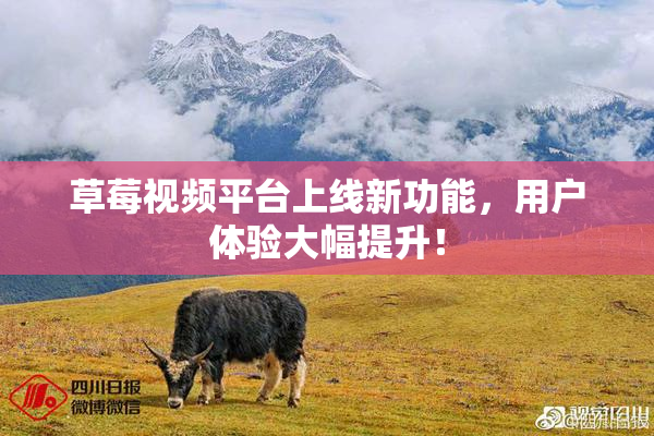 草莓视频平台上线新功能，用户体验大幅提升！