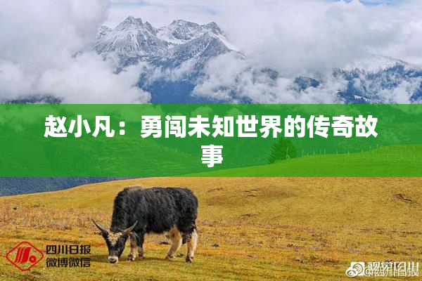赵小凡：勇闯未知世界的传奇故事