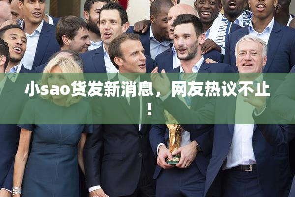小sao货发新消息，网友热议不止！