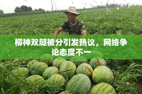 柳神双腿被分引发热议，网络争论态度不一