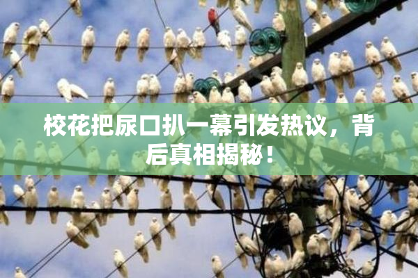 校花把尿口扒一幕引发热议，背后真相揭秘！