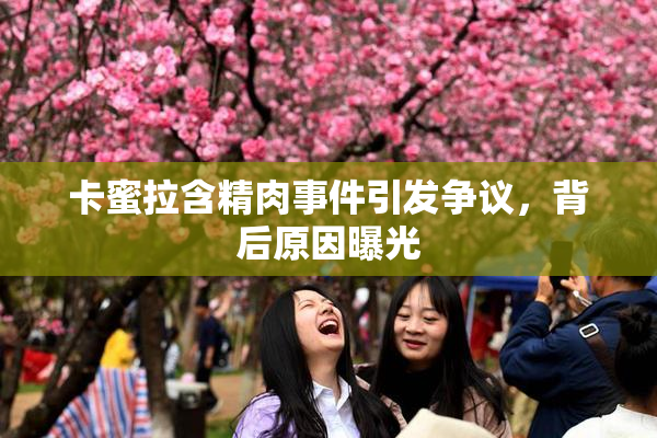 卡蜜拉含精肉事件引发争议，背后原因曝光