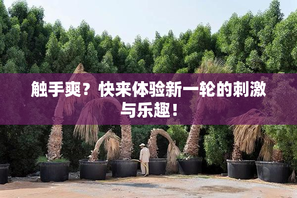 触手爽？快来体验新一轮的刺激与乐趣！
