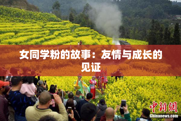 女同学粉的故事：友情与成长的见证