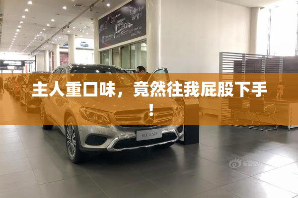 主人重口味，竟然往我屁股下手！