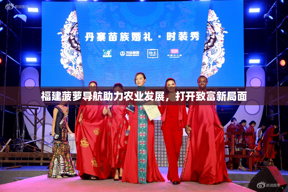 福建菠萝导航助力农业发展，打开致富新局面