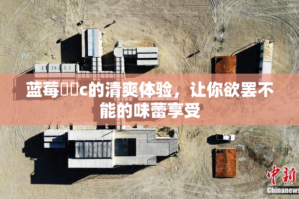 蓝莓❌‌c的清爽体验，让你欲罢不能的味蕾享受