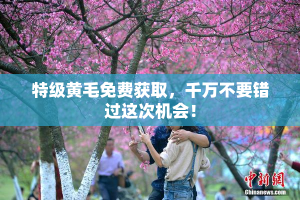特级黄毛免费获取，千万不要错过这次机会！