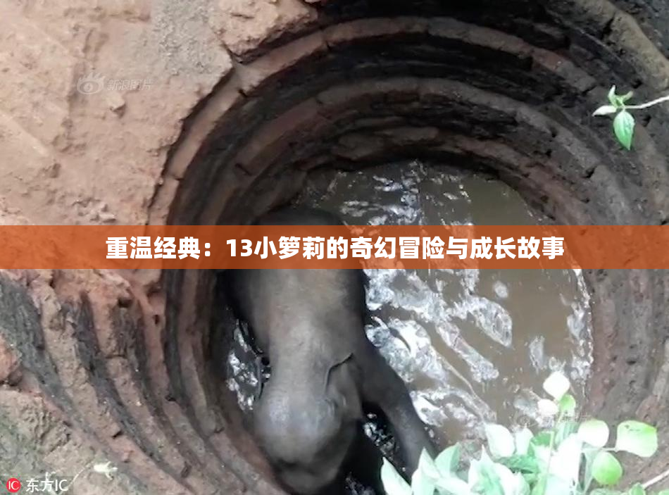 重温经典：13小箩莉的奇幻冒险与成长故事