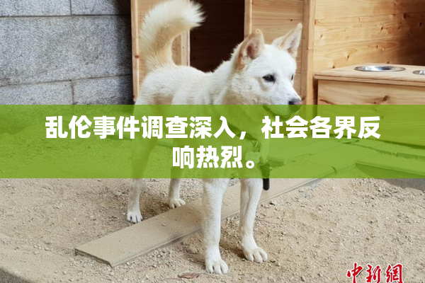 乱伦事件调查深入，社会各界反响热烈。