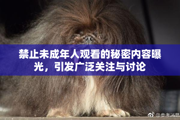 禁止未成年人观看的秘密内容曝光，引发广泛关注与讨论