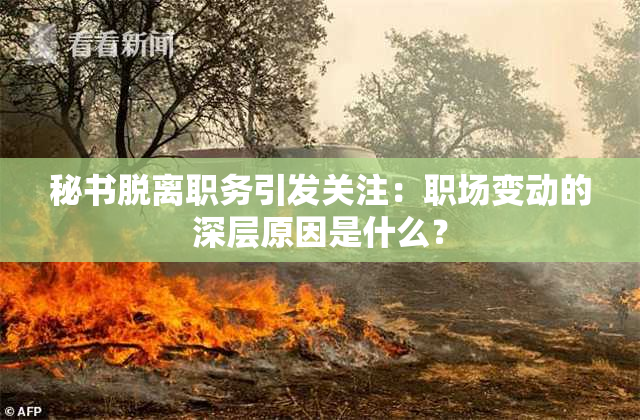 秘书脱离职务引发关注：职场变动的深层原因是什么？