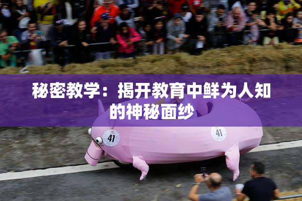 秘密教学：揭开教育中鲜为人知的神秘面纱