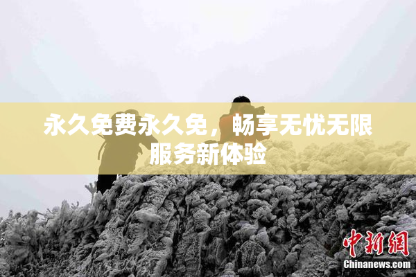 永久免费永久免，畅享无忧无限服务新体验
