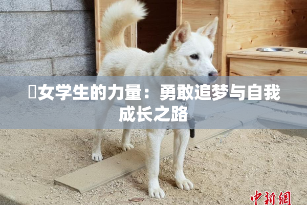 巜女学生的力量：勇敢追梦与自我成长之路