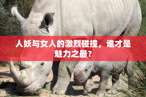 人妖与女人的激烈碰撞，谁才是魅力之最？