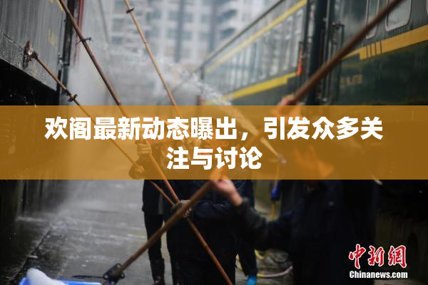 欢阁最新动态曝出，引发众多关注与讨论