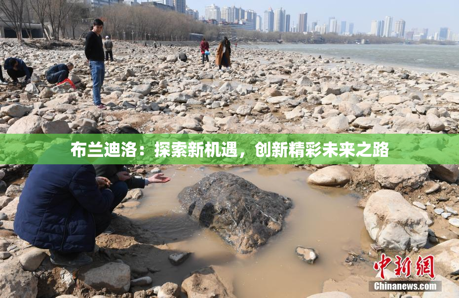 布兰迪洛：探索新机遇，创新精彩未来之路