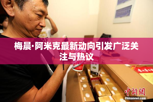 梅晨·阿米克最新动向引发广泛关注与热议