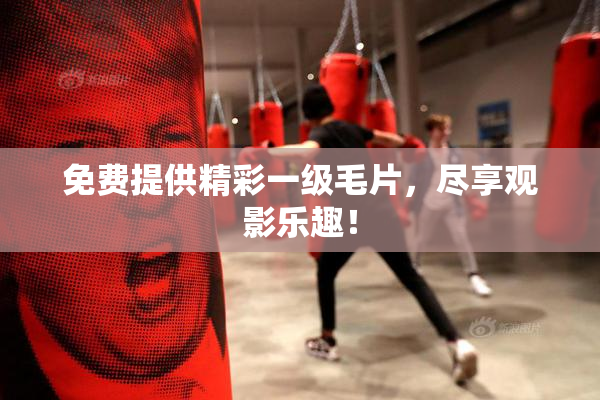 免费提供精彩一级毛片，尽享观影乐趣！