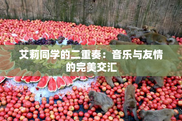 艾莉同学的二重奏：音乐与友情的完美交汇