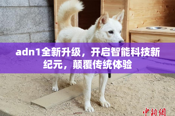 adn1全新升级，开启智能科技新纪元，颠覆传统体验