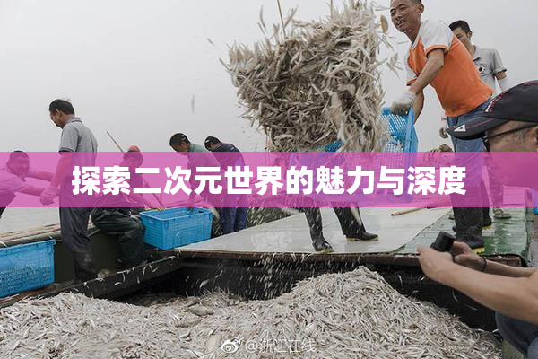 探索二次元世界的魅力与深度
