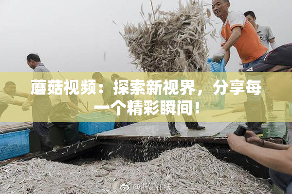 蘑菇视频：探索新视界，分享每一个精彩瞬间！