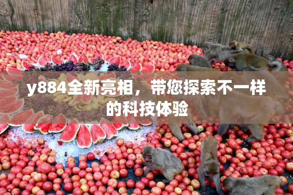 y884全新亮相，带您探索不一样的科技体验
