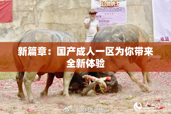 新篇章：国产成人一区为你带来全新体验