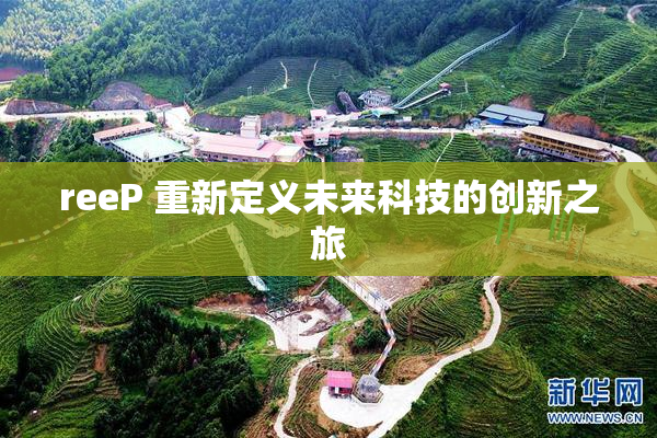 reeP 重新定义未来科技的创新之旅