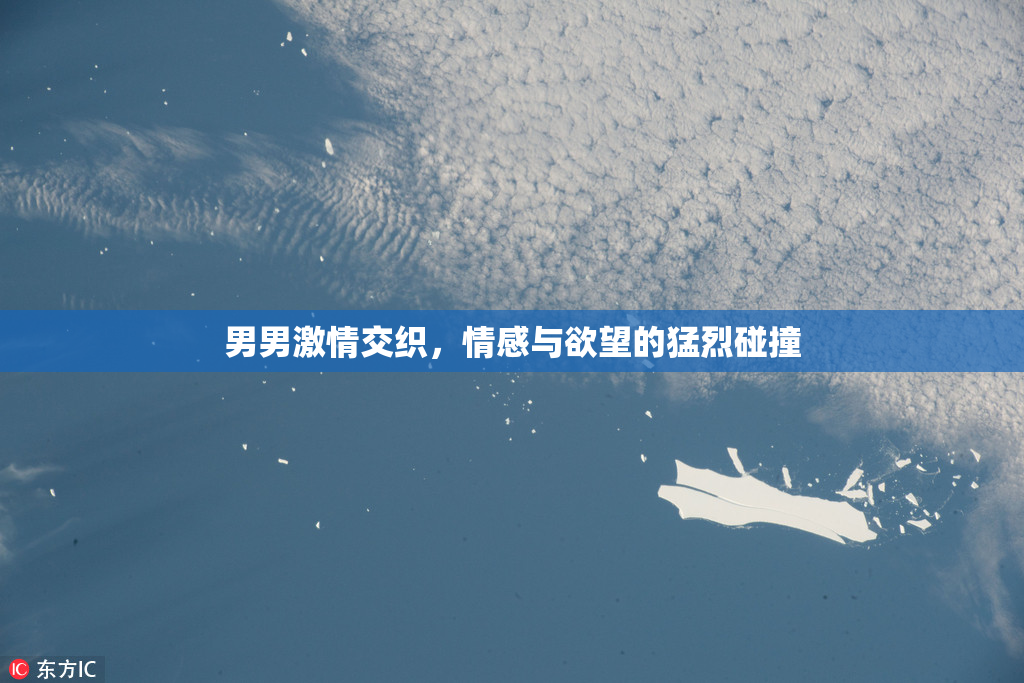 男男激情交织，情感与欲望的猛烈碰撞