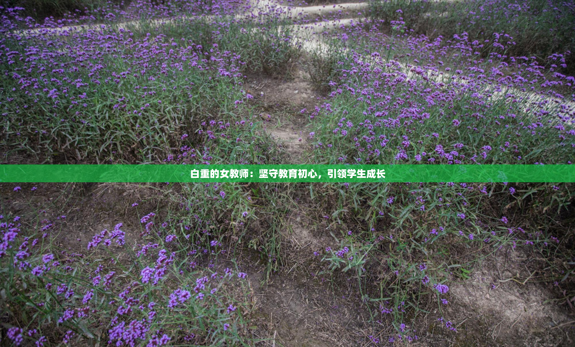 白重的女教师：坚守教育初心，引领学生成长