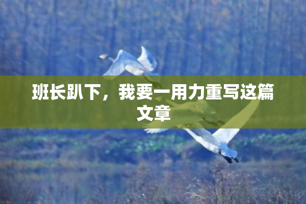 班长趴下，我要一用力重写这篇文章