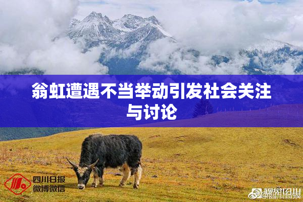 翁虹遭遇不当举动引发社会关注与讨论