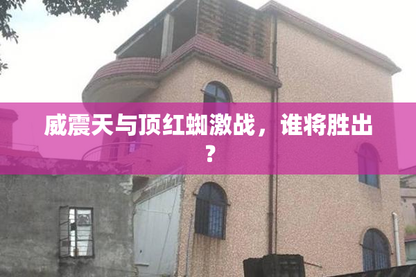 威震天与顶红蜘激战，谁将胜出？