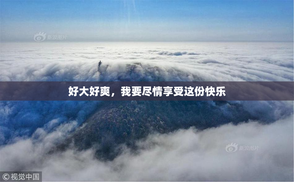 好大好爽，我要尽情享受这份快乐